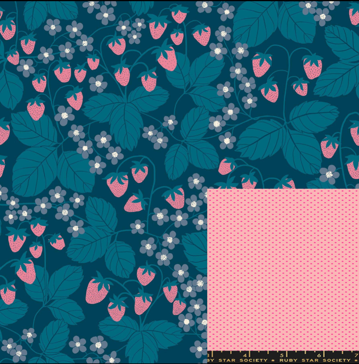 Ruby Star Society® Front -Strawberry Field in Galaxy Back-Catnap Mini dot in Rosebud